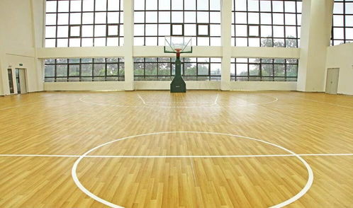 沈陽天韻舞蹈地膠批發(fā) 舞韻系列塑膠地板